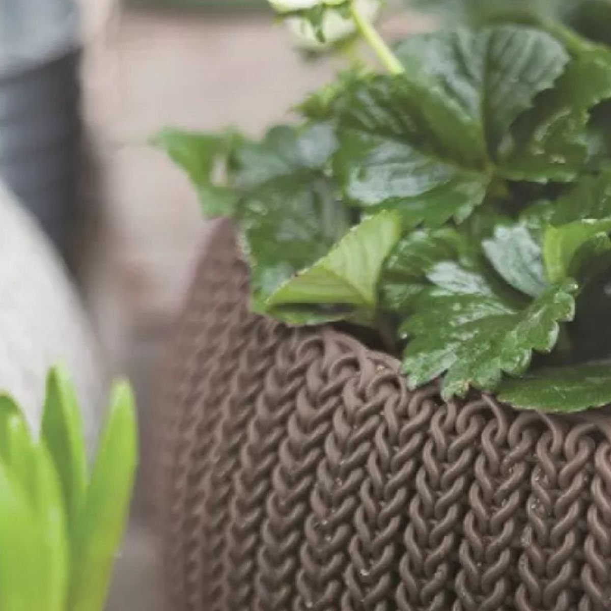 Keter Cozy Rattan Πλαστική Γλάστρα Κρεμαστή M με Αλυσίδα Στερλεωσης 612102 Καφέ