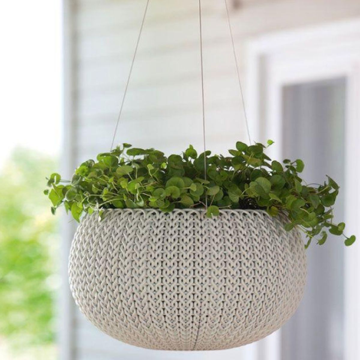 Keter Cozy Rattan Πλαστική Γλάστρα Κρεμαστή M με Αλυσίδα Στερλεωσης 612101 Μπεζ