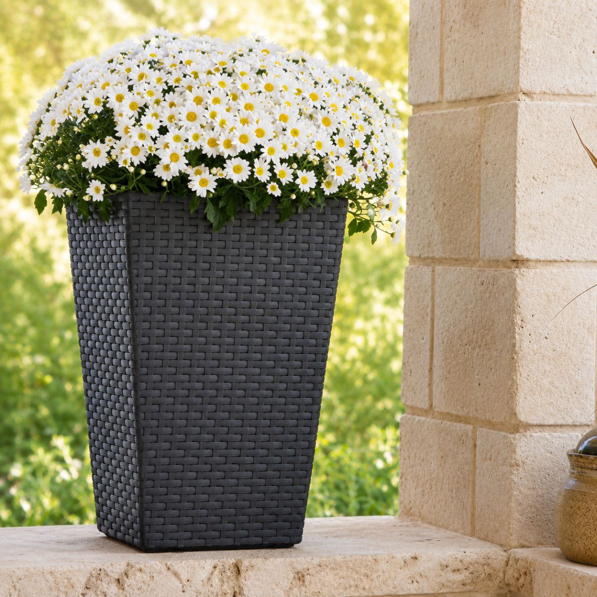 KETER Rattan Style Γλάστρα S 43.5cm με Διπλό Τοίχωμα 612051 Ανθρακί